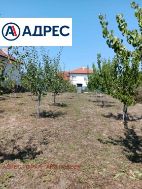 ����� ������� ������,�. ������, ������ �����