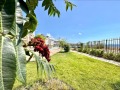 Продава 1-СТАЕН, област Бургас, гр. Свети Влас • 74000 € • 58140943 — Holmes.bg