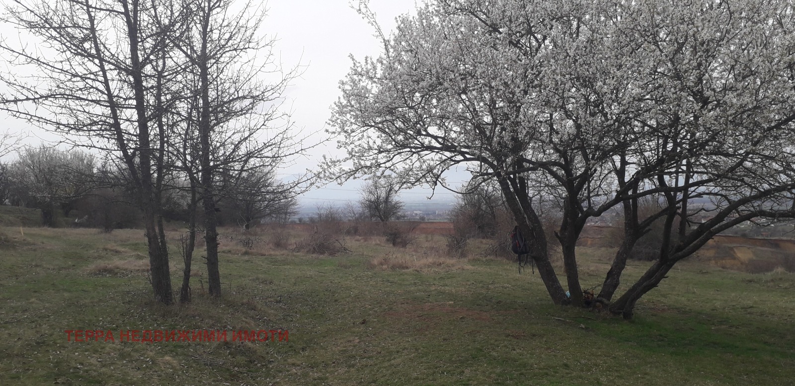 ������� ������ | Imot.bg � ����������� 8