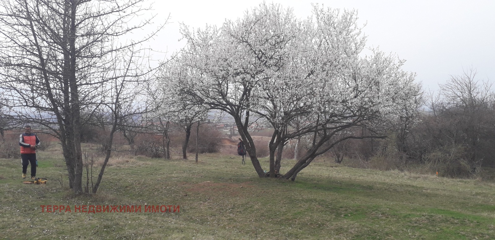 ������� ������ | Imot.bg � ����������� 2