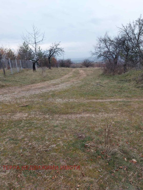 ������� ������ | Imot.bg � ����� ������ 5