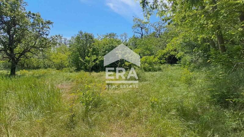 Na prodej  Spiknutí Varna , Izgrev , 1023 m2 | 68991831 - obraz [5]