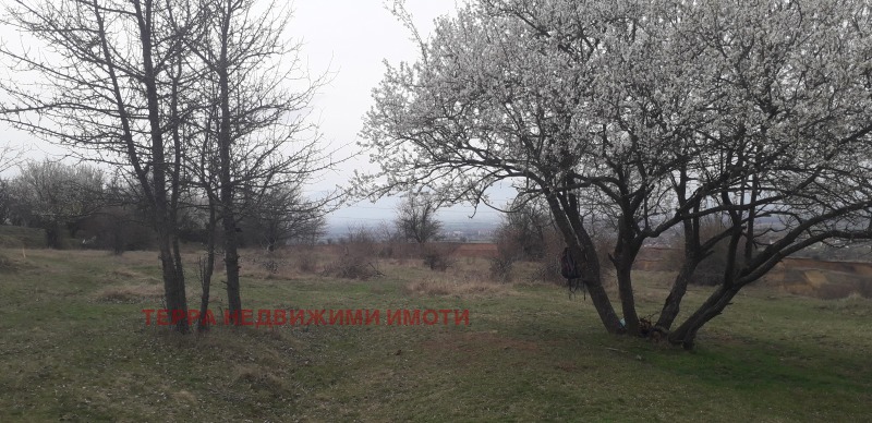 Продава ПАРЦЕЛ, гр. София, с. Подгумер, снимка 7 - Парцели - 53270418
