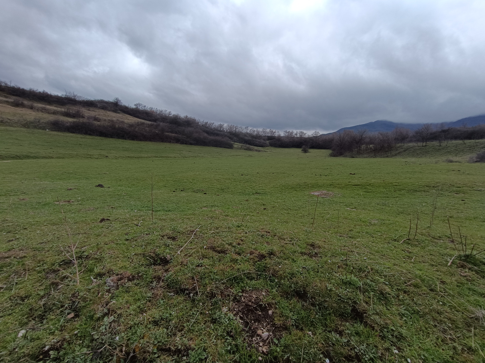 Продава ЗЕМЕДЕЛСКА ЗЕМЯ, гр. Велинград, област Пазарджик, снимка 6 - Земеделска земя - 54095421