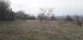 Продава ПАРЦЕЛ, гр. София, с. Подгумер, снимка 3