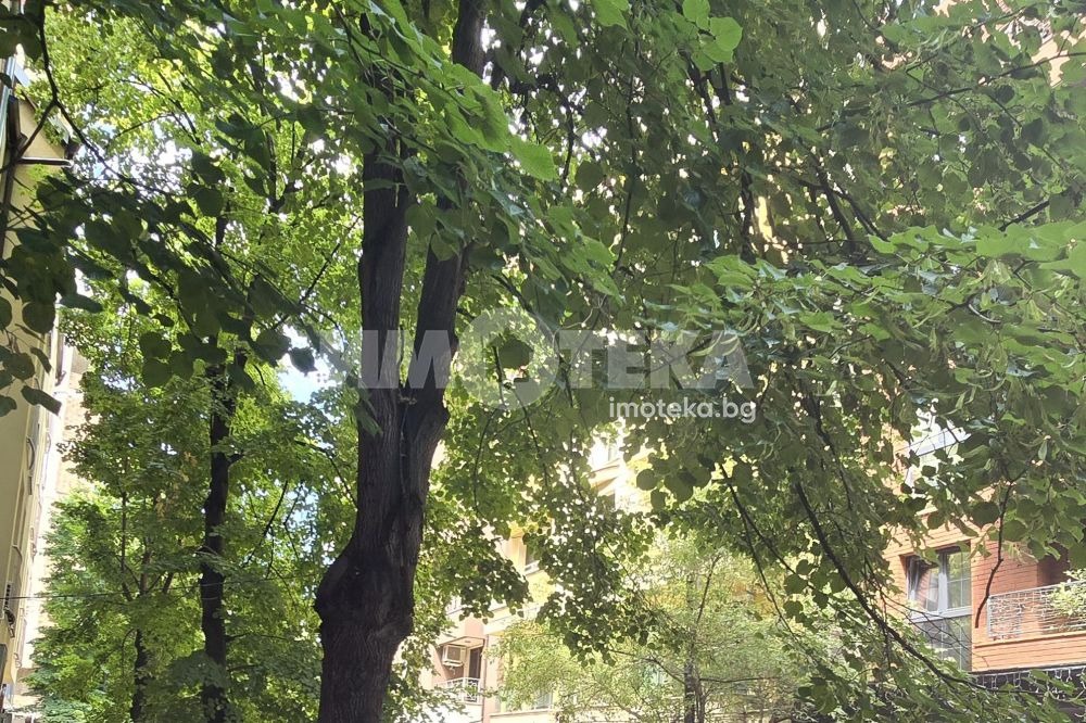 ������� 2-����� | Imot.bg � ����������� 12