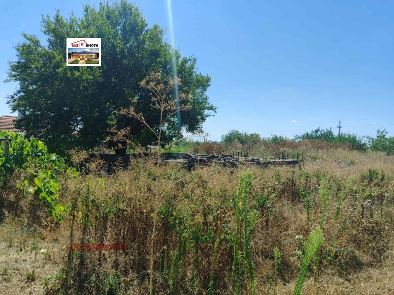 De vânzare  Complot regiunea Dobrich , Cozloduiți , 1130 mp | 24131464 - imagine [2]