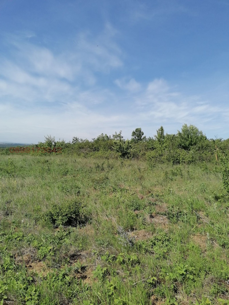 Продава ПАРЦЕЛ, гр. Варна, м-т Прибой