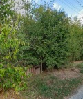 Продава ПАРЦЕЛ, с. Бръшлен, област Русе, снимка 2