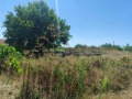 Продава ПАРЦЕЛ, област Добрич, с. Козлодуйци • 16000 лв. • 73602298 — Holmes.bg
