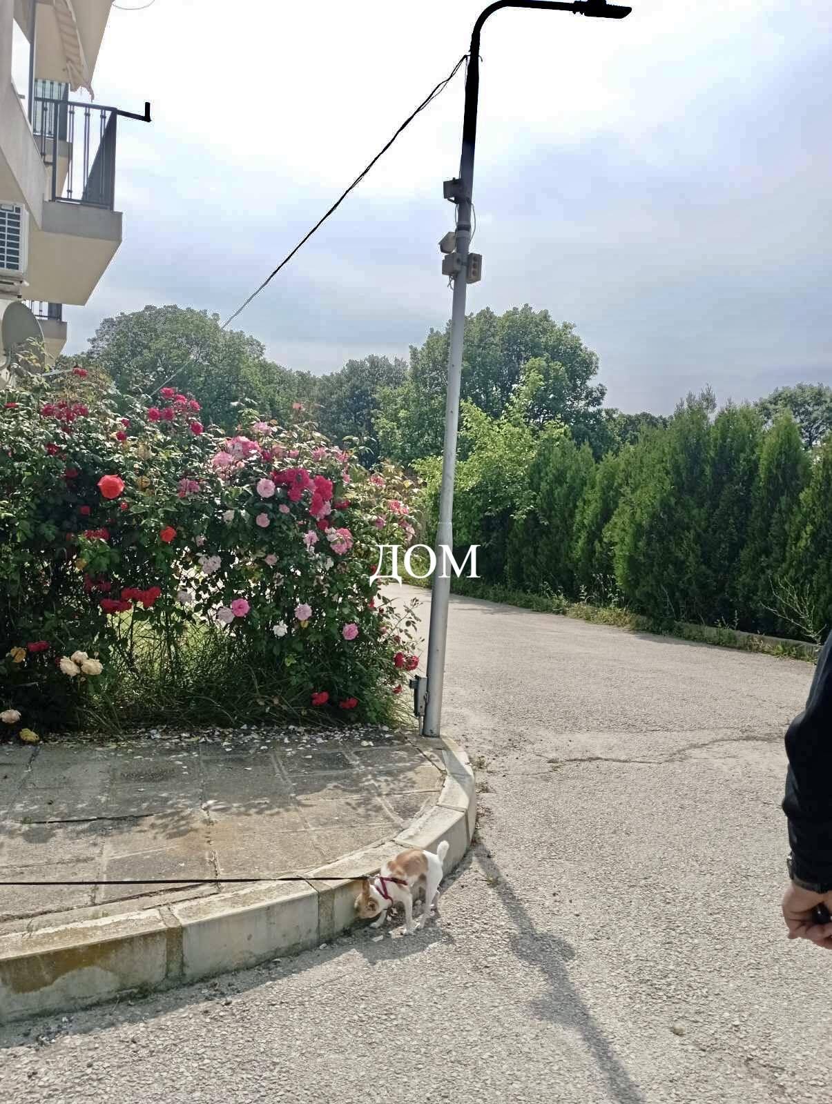 ������� 3-����� | Imot.bg � ����������� 16