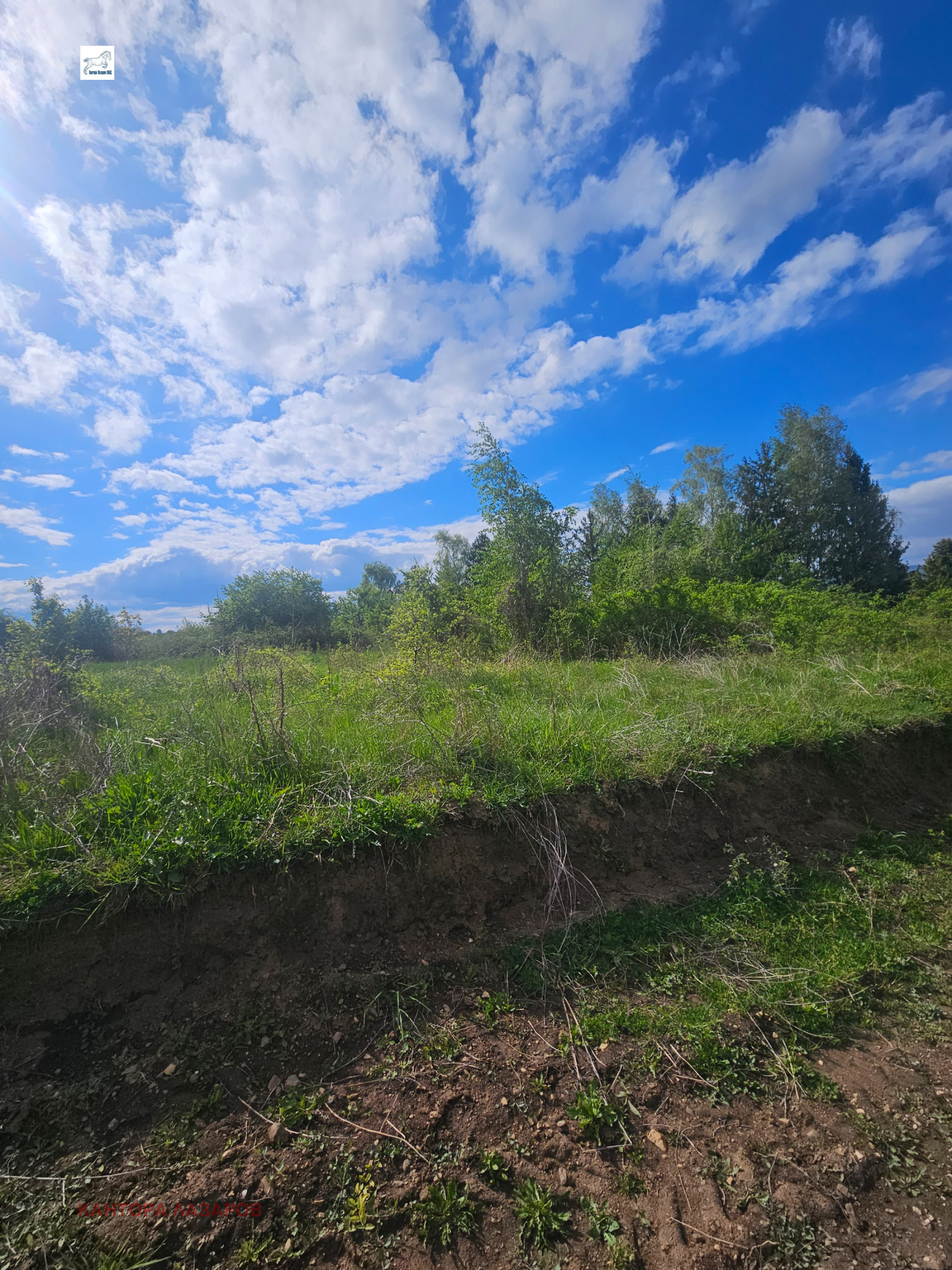 ������� ������ | Imot.bg � ����������� 1