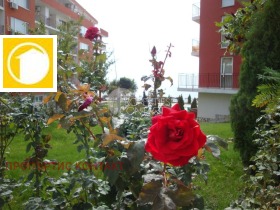 ������� 3-����� | Imot.bg � ����� ������ 15