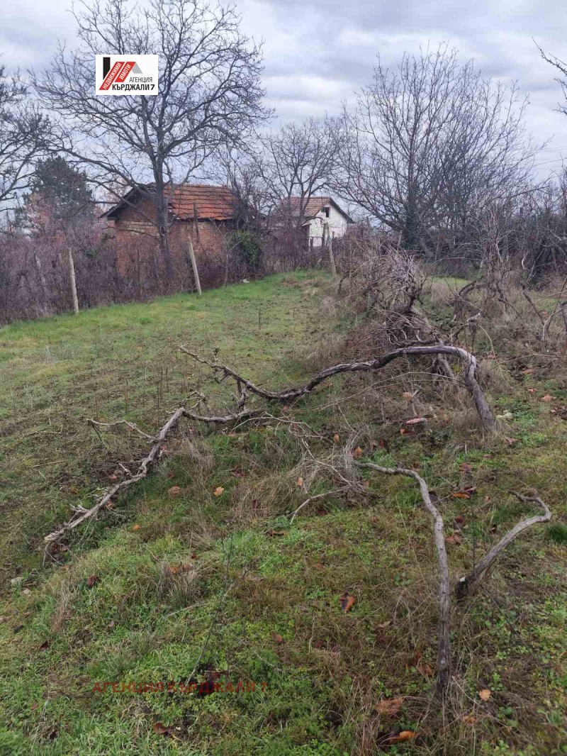 Продава ПАРЦЕЛ, гр. Кърджали, Веселчане, снимка 4 - Парцели - 53128456