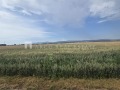 Продава ПАРЦЕЛ, област София, гр. Елин Пелин • 239507 € / 468434.98 лв. • 13263983 4
