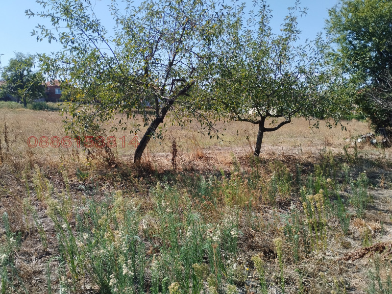 Продава КЪЩА, с. Кабиле, област Ямбол, снимка 6 - Къщи - 52781519