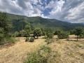 Продава  Вила област Кюстендил , с. Пастра , 518 кв.м | 80495444 - изображение [7]