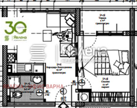 ����� ������� 2-�����,���� �����, ����������