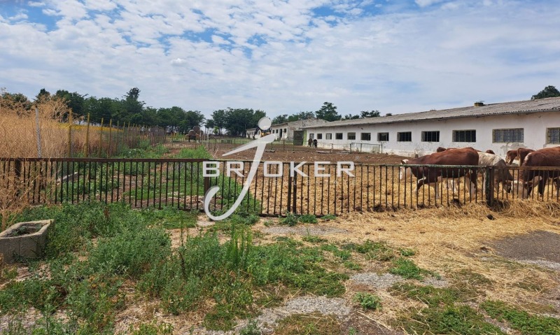 Te koop  Industrie gebouw regio Dobritsj , Tsjestimensko , 2948 m² | 49321810 - afbeelding [8]