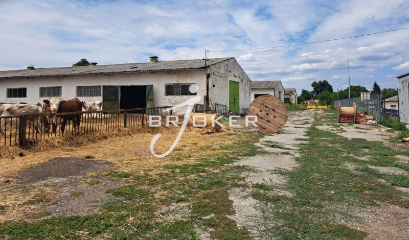 Te koop  Industrie gebouw regio Dobritsj , Tsjestimensko , 2948 m² | 49321810 - afbeelding [9]