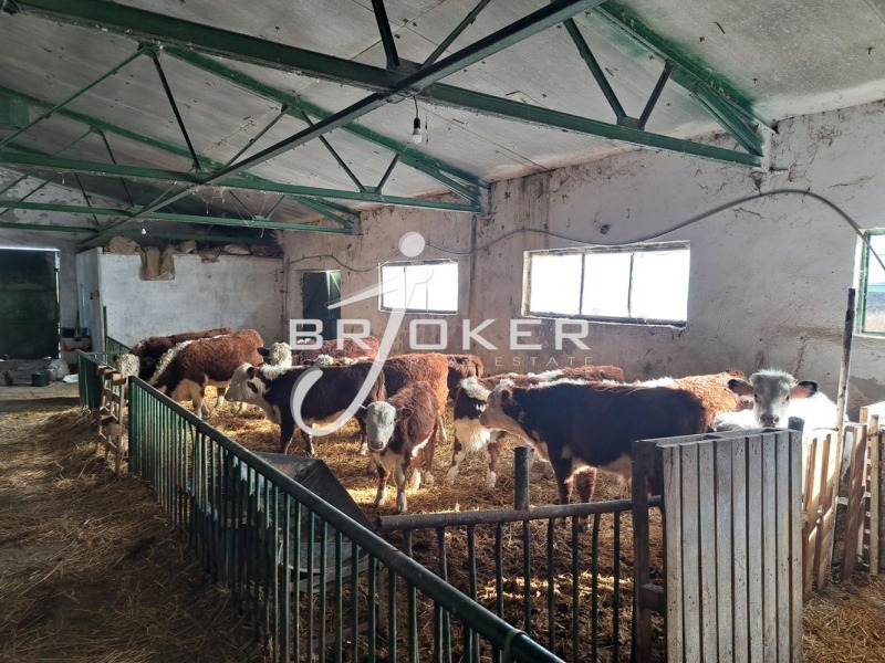 Te koop  Industrie gebouw regio Dobritsj , Tsjestimensko , 2948 m² | 49321810 - afbeelding [13]
