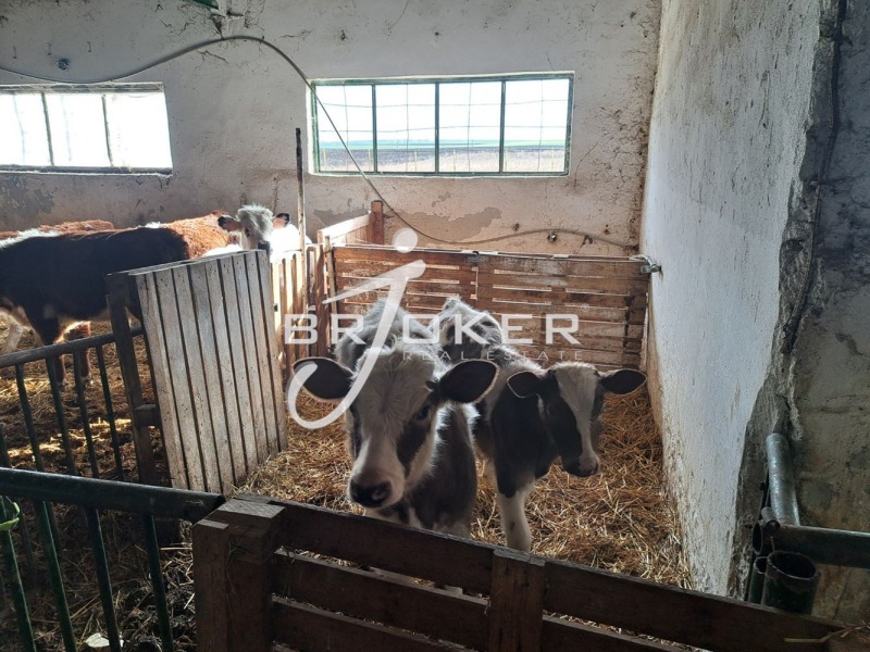Te koop  Industrie gebouw regio Dobritsj , Tsjestimensko , 2948 m² | 49321810 - afbeelding [14]