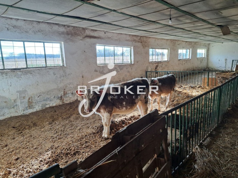 Te koop  Industrie gebouw regio Dobritsj , Tsjestimensko , 2948 m² | 49321810 - afbeelding [12]