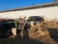Продава ПРОМ. ПОМЕЩЕНИЕ, област Добрич, с. Честименско • 495000 € / 968135.85 лв. • 86248747 10