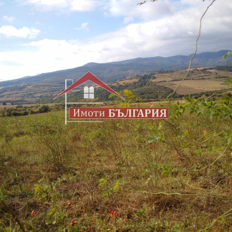 Продава ЗЕМЕДЕЛСКА ЗЕМЯ в област Търговище, гр. Търговище - 777 дка / 1 072 639.24 € » 2 097 900 лв., НЕДВИЖИМИ ИМОТИ В БЪЛГАРИЯ