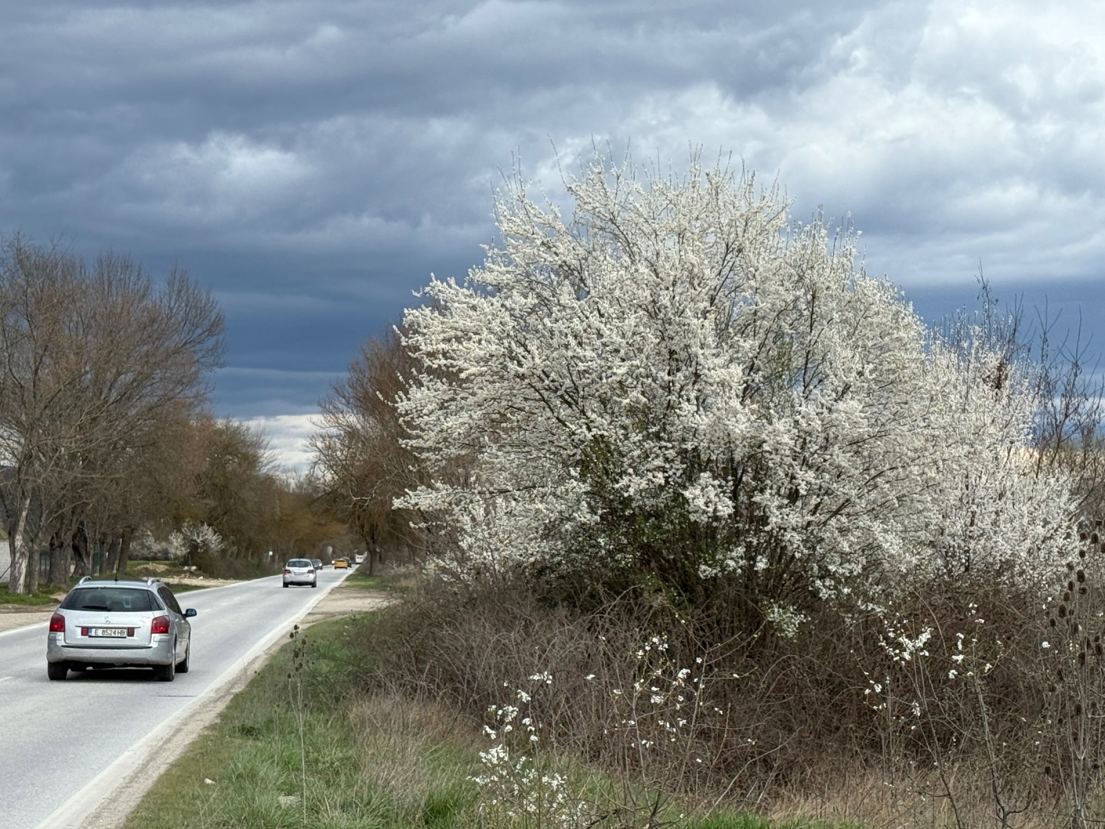 ������� ������ | Imot.bg � ����������� 1