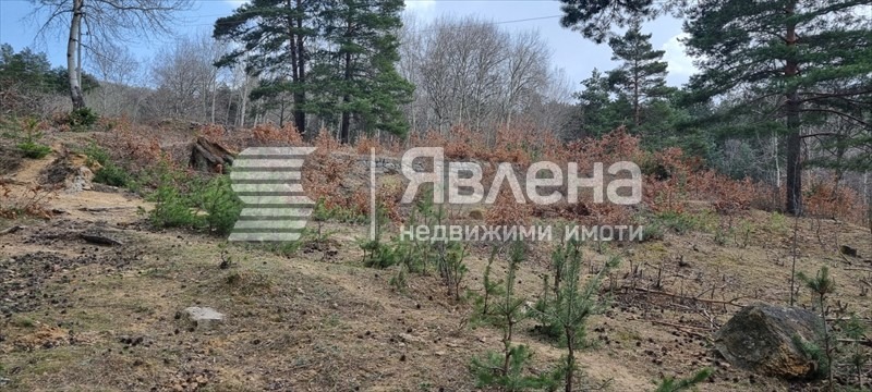 Продава ПАРЦЕЛ, гр. София, с. Владая, снимка 5 - Парцели - 55712753