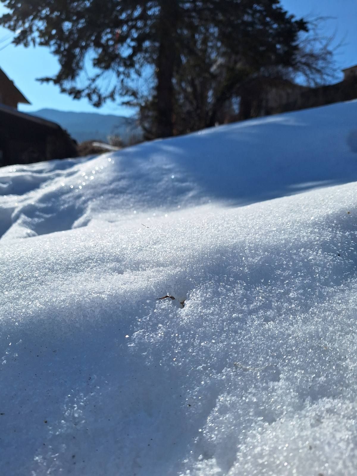 ������� ������ | Imot.bg � ����������� 4