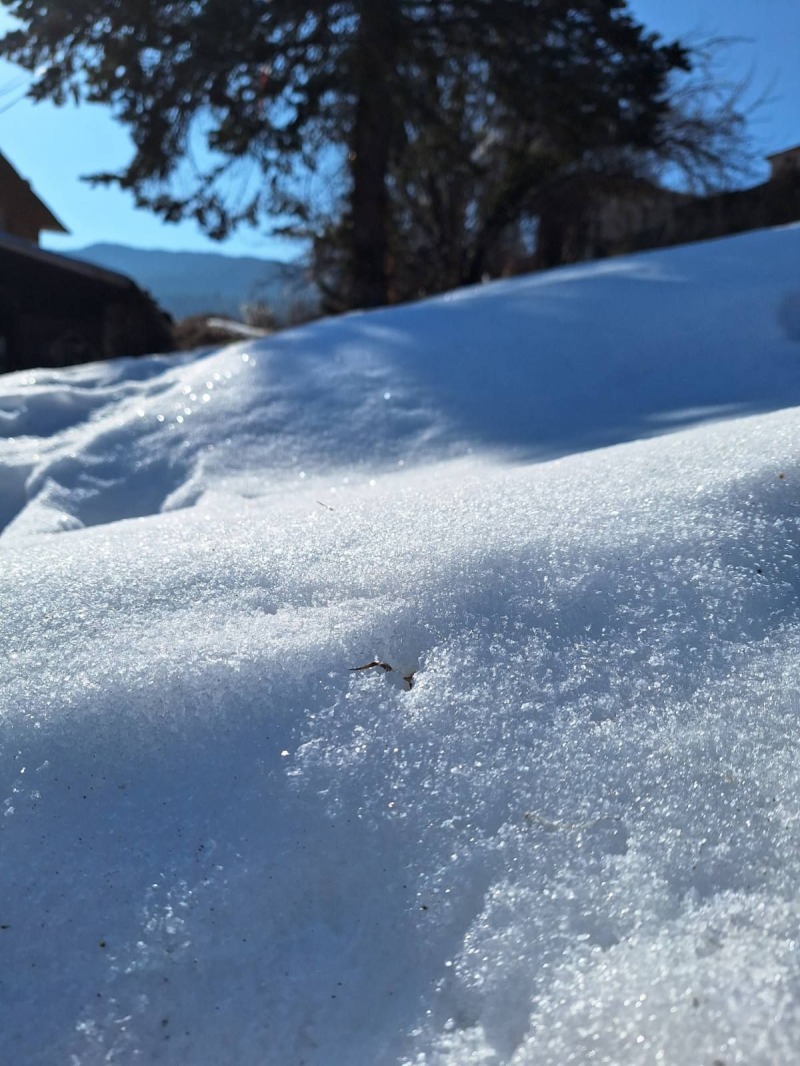 Продава ПАРЦЕЛ, с. Зорница, област Смолян, снимка 4 - Парцели - 53453689