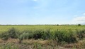 Продава ПАРЦЕЛ, област Бургас, с. Присад • 6000 € • 79554739 — Holmes.bg