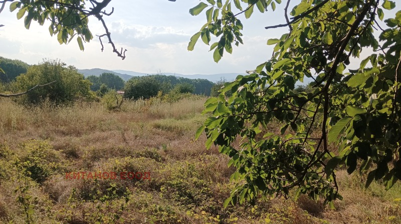 Προς πώληση  Γη περιοχή Μπλαγκόεβγκραντ , Βλαγοεβγραδ , 5 dka | 16615507 - εικόνα [5]