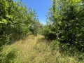 Продава ПАРЦЕЛ, гр. София, гр. Банкя, снимка 5