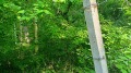 Продава ПАРЦЕЛ, област Варна, к.к. Камчия • 32000 € • 22603778 — Holmes.bg