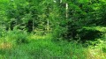 Продава ПАРЦЕЛ, област Варна, к.к. Камчия • 32000 € • 22603778 — Holmes.bg
