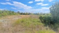 Продава ПАРЦЕЛ, град Варна, Виница • 418000 € • 25095535 — Holmes.bg