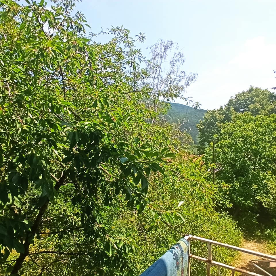 ������� ���� �� ���� | Imot.bg � ����������� 13