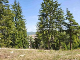 House Dospat, region Smolyan 14