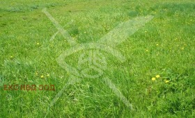 Działka Izwor, region Płowdiw