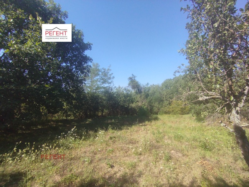 For Sale  Plot region Gabrovo , Petsovtsi , 2182 sq.m | 69680917 - image [3]