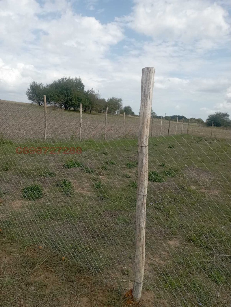 Eladó  Cselekmény régió Várna , Zdravec , 549 négyzetméter | 89206805 - kép [6]