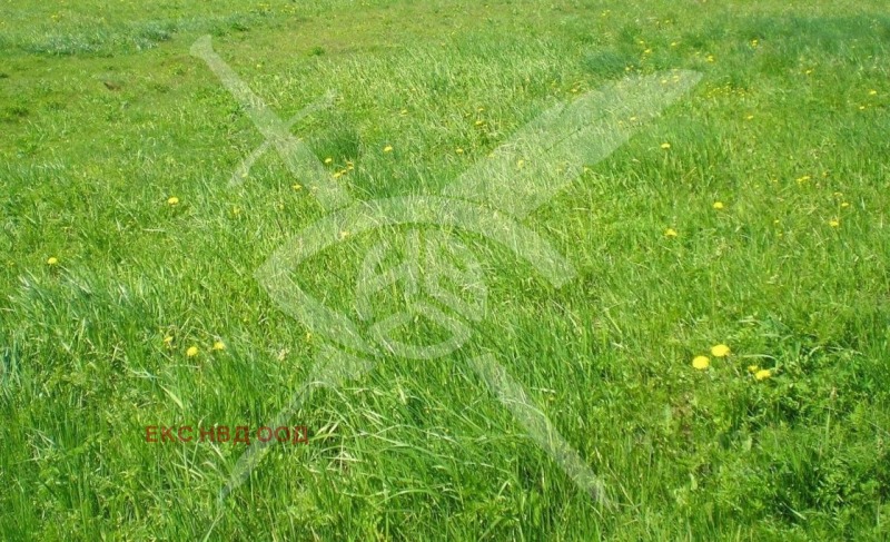 Na sprzedaż  Działka region Płowdiw , Izwor , 1084 mkw | 13405191