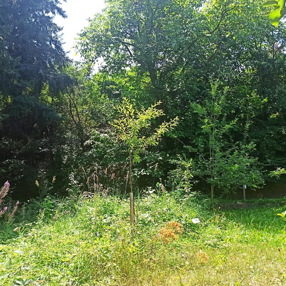 Продава ЕТАЖ ОТ КЪЩА, гр. София, с. Панчарево, снимка 12 - Етаж от къща - 54994704