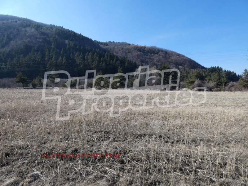 Продава ЗЕМЕДЕЛСКА ЗЕМЯ в област София, с. Бели Искър - 11.5 дка / 172 500 € » 337 380.68 лв., БЪЛГЕРИАН ПРОПЕРТИС