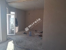 ����� ������� ����,�. ����������, ������ ������