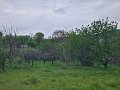 Продава ПАРЦЕЛ, с. Средно градище, област Стара Загора, снимка 5