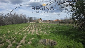 ����� ������� ������,�. ����� ��������, ������ �������